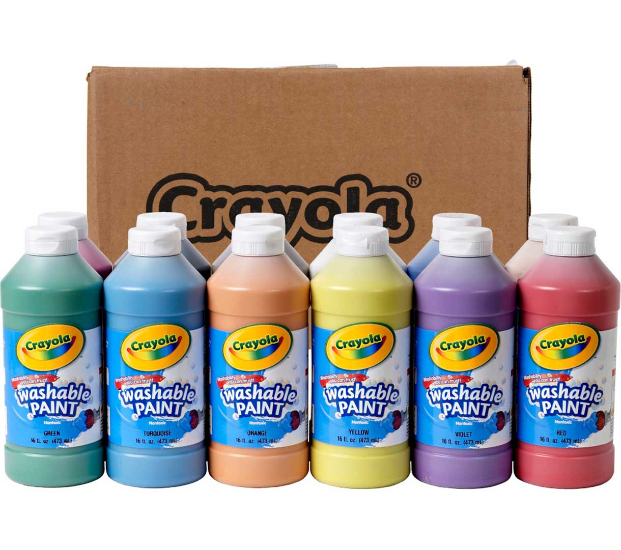 Washable Paint 12 count  16 ounce bottles. Contents in front of packaging.